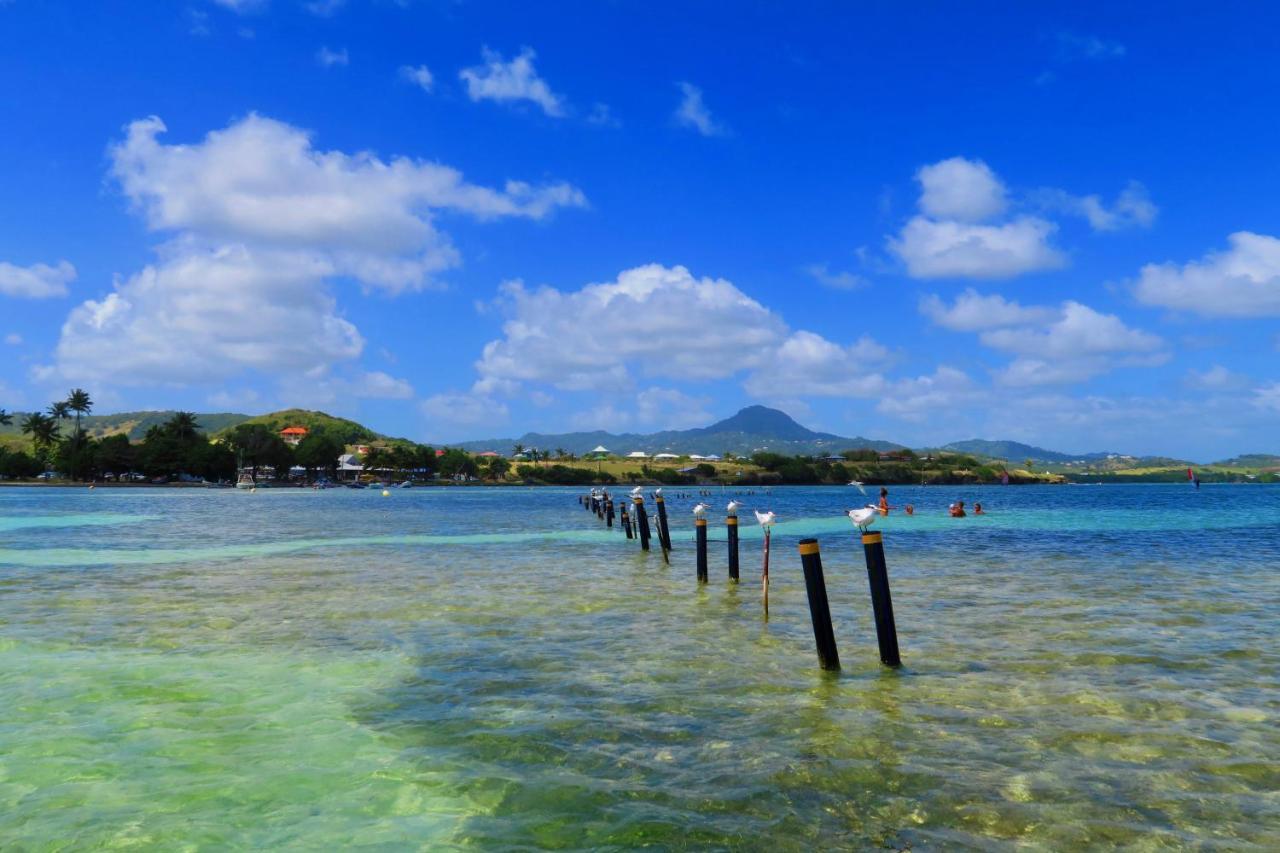 Studio Bwa Banbou Dans Villa Fleurs Des Iles ル・ヴォクラン エクステリア 写真