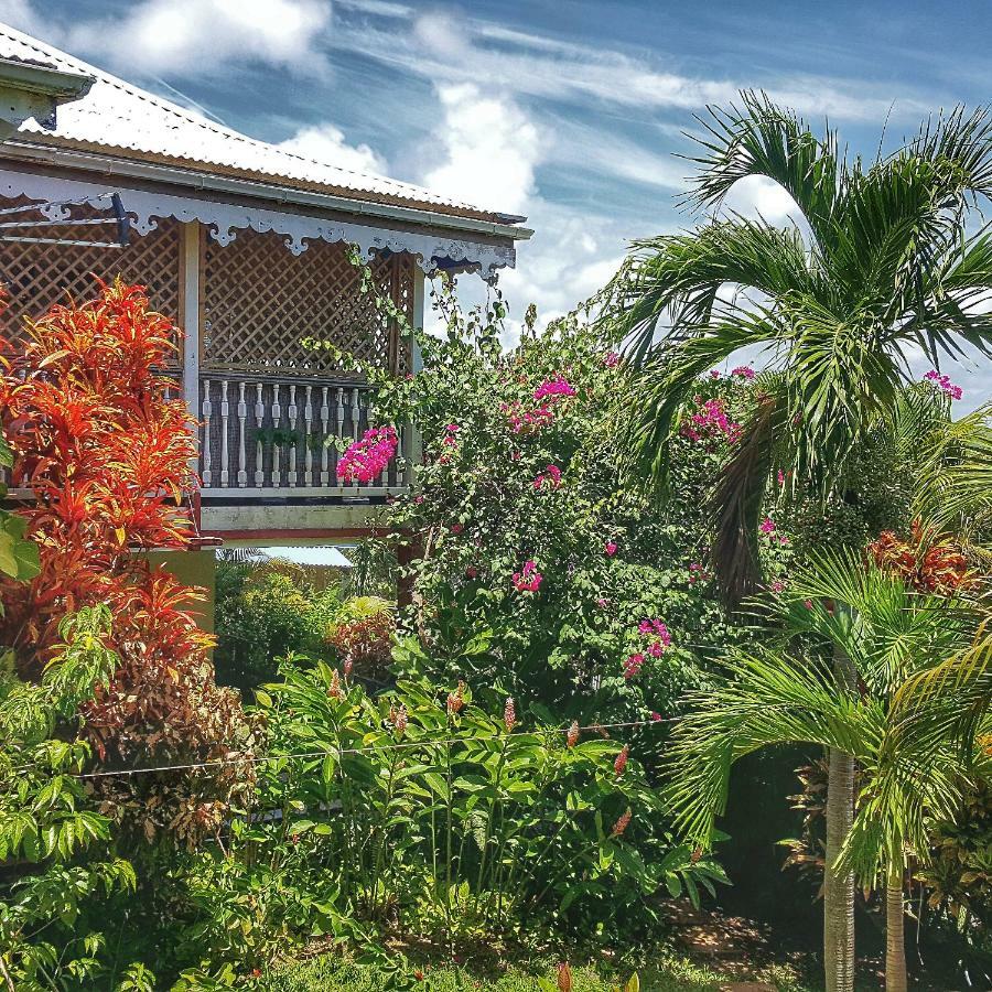 Studio Bwa Banbou Dans Villa Fleurs Des Iles ル・ヴォクラン エクステリア 写真